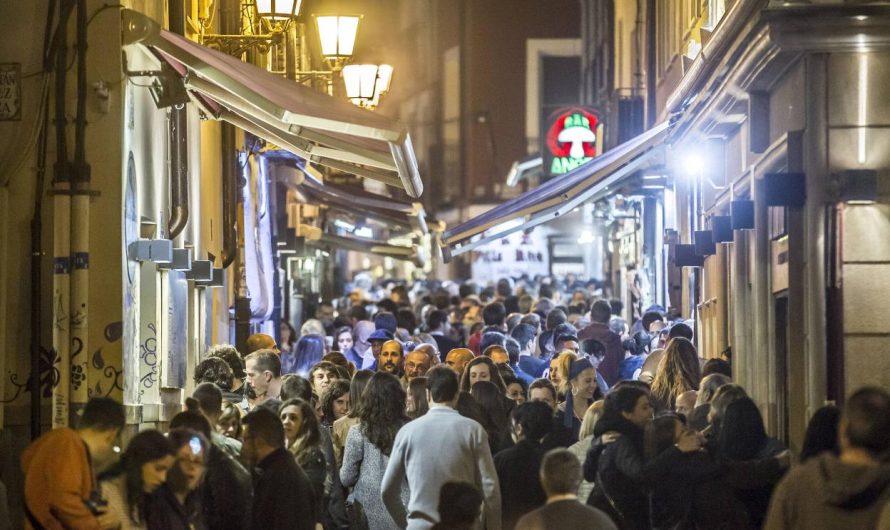 Cómo se llama la calle de vinos de Logroño