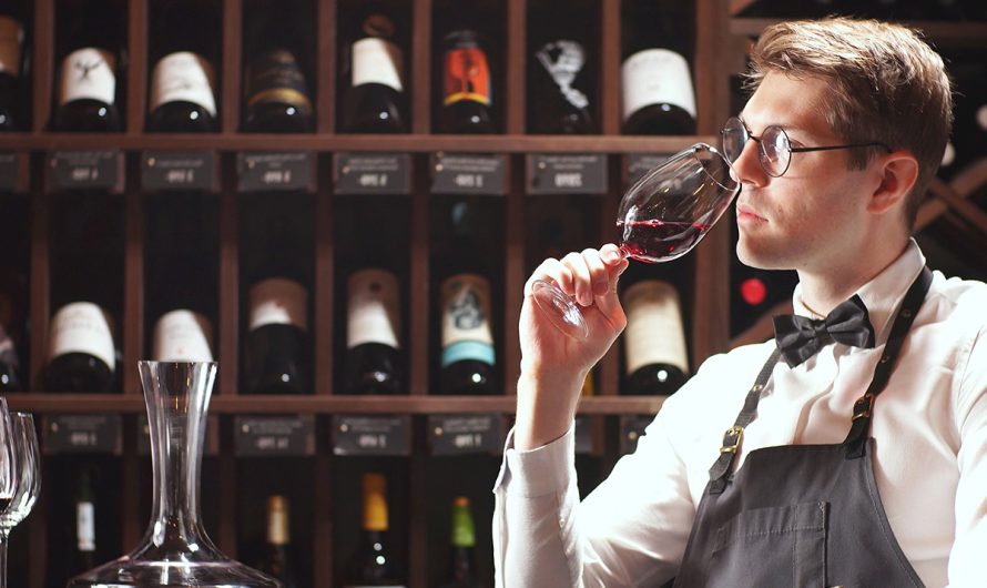 Qué diferencia hay entre un enólogo y un sommelier