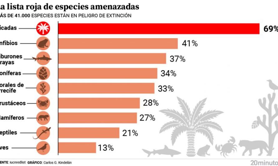 Qué beneficios genera el ecoturismo