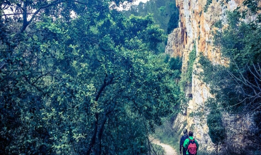 Qué es una ruta cultural